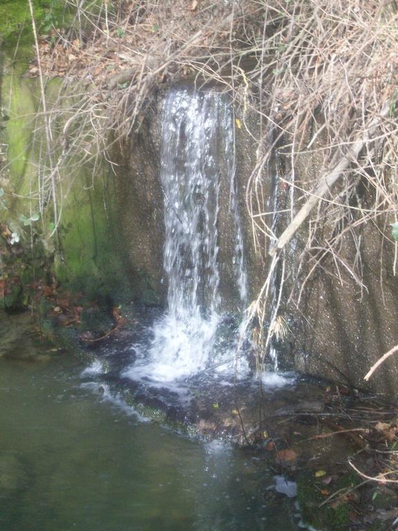 Agriturismo Gelso Castellana Sicula Dış mekan fotoğraf