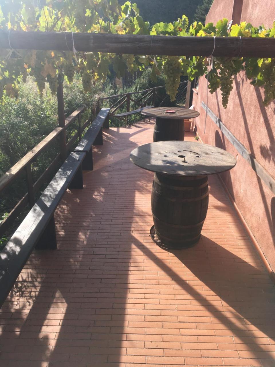 Agriturismo Gelso Castellana Sicula Dış mekan fotoğraf