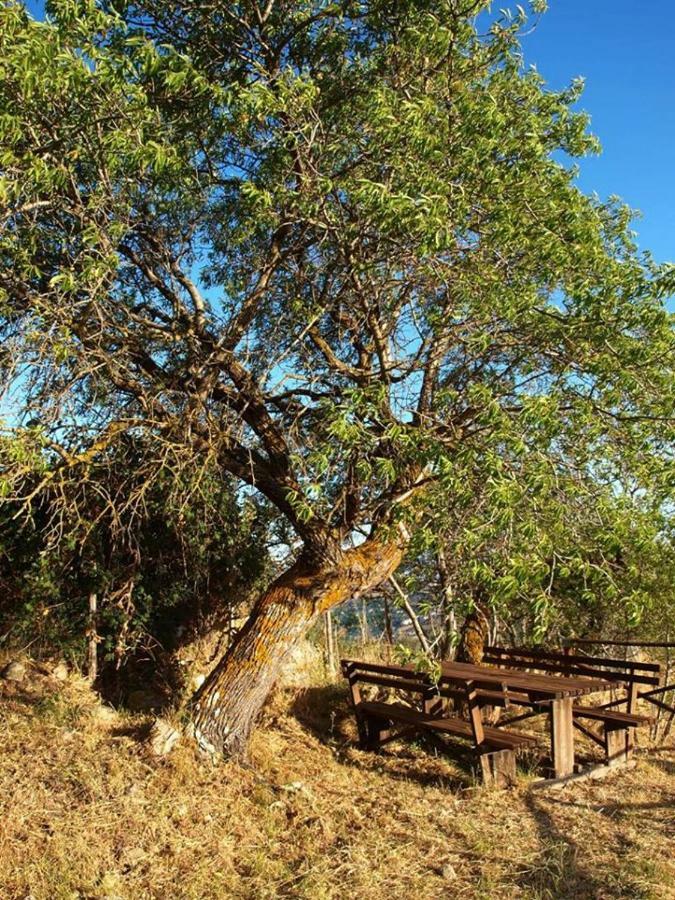 Agriturismo Gelso Castellana Sicula Dış mekan fotoğraf